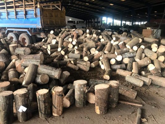 Gỗ cao su là lựa chọn tốt nhất để bảo vệ nguồn tài nguyên thiên nhiên Gỗ cao su là lựa chọn tốt nhất để bảo vệ nguồn tài nguyên thiên nhiên